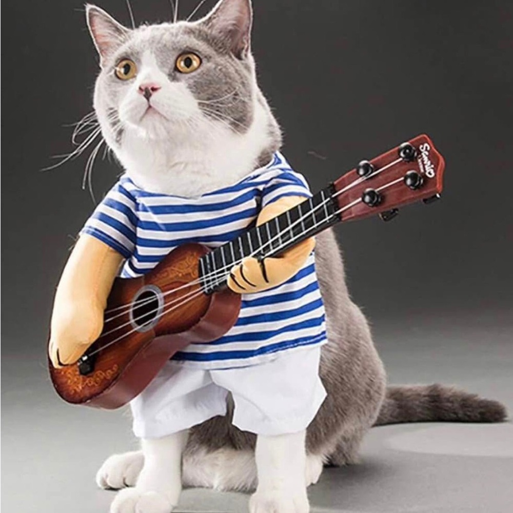 Dog or Cat Guitar Costume